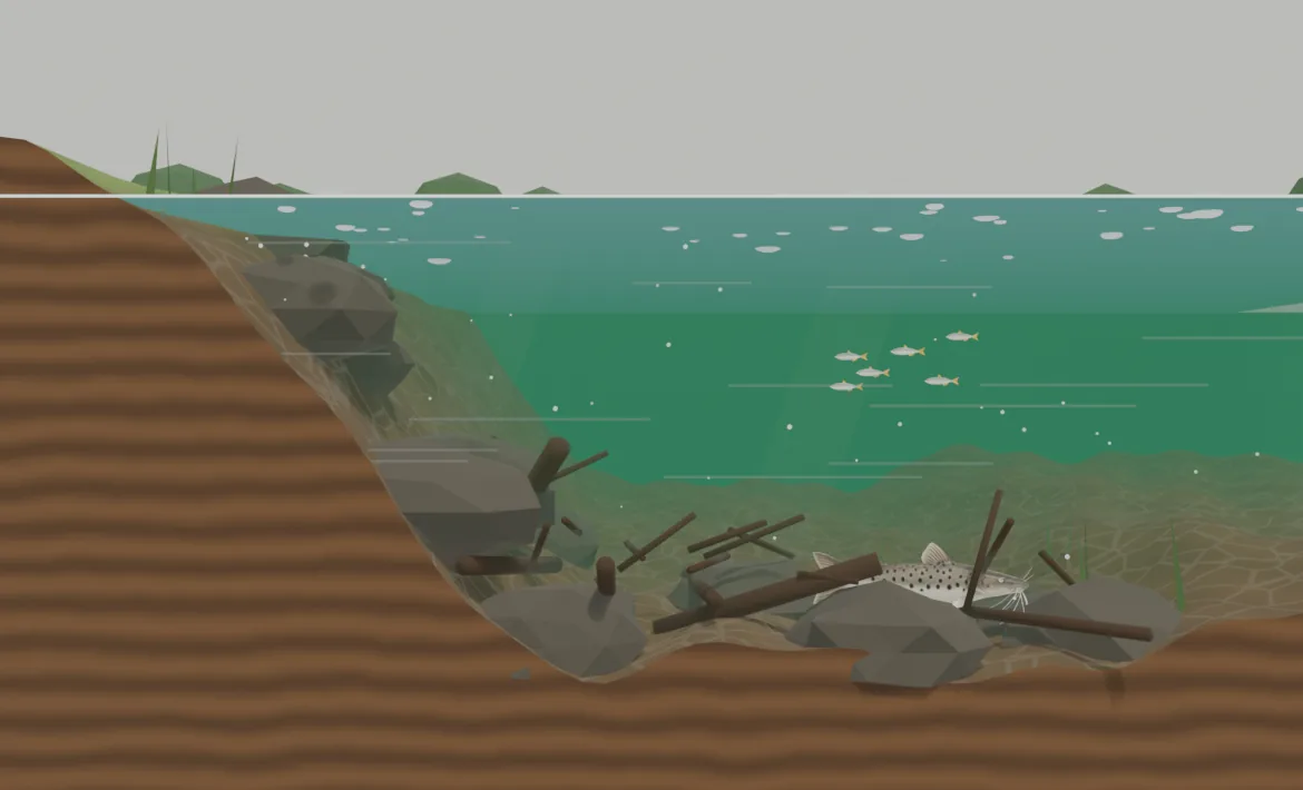 Corte de um rio fundo: o pintado fica no fundo do canal, entre troncos e pedras, e os lambaris nadam na água aberta acima