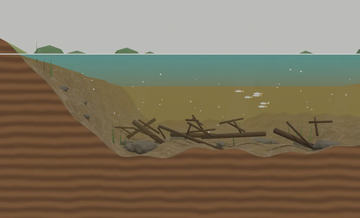 Corte de um lago de pesqueiro: a cachapira fica no fundo, entre troncos e pedras submersas, e lambaris nadam na meia-água
