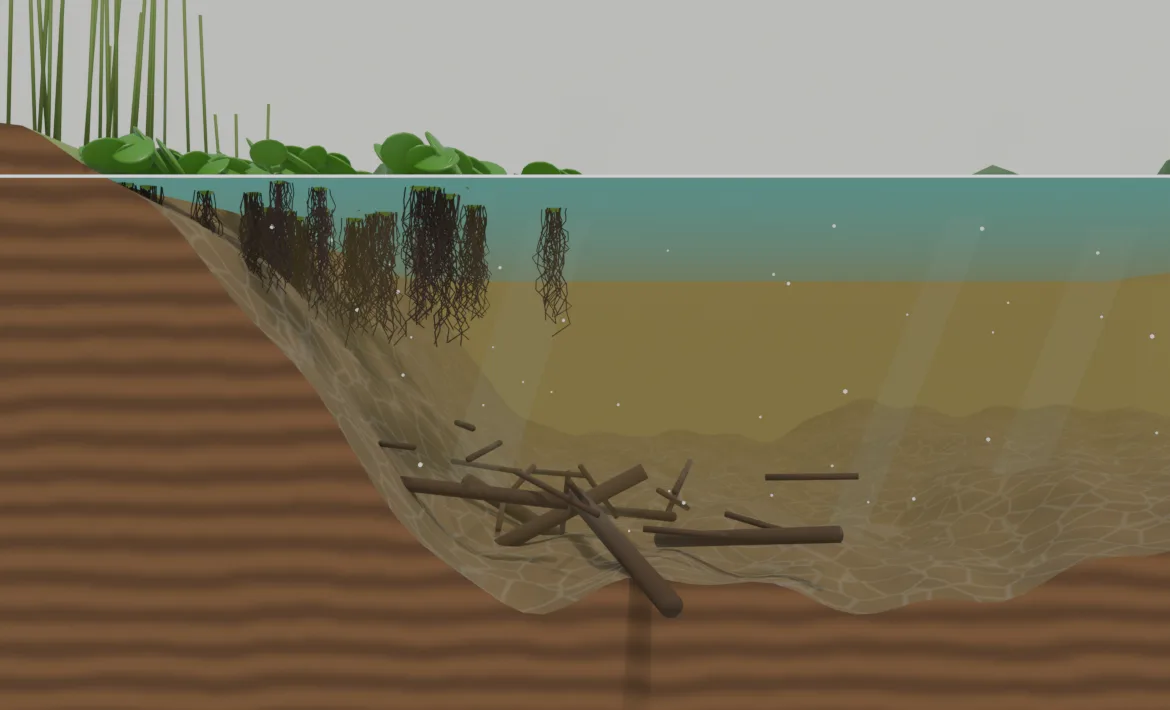 Corte de um rio de água branca da Amazônia: vegetação na margem, o pacu-manteiga em cardume a meia-água perto da margem e galhada no fundo