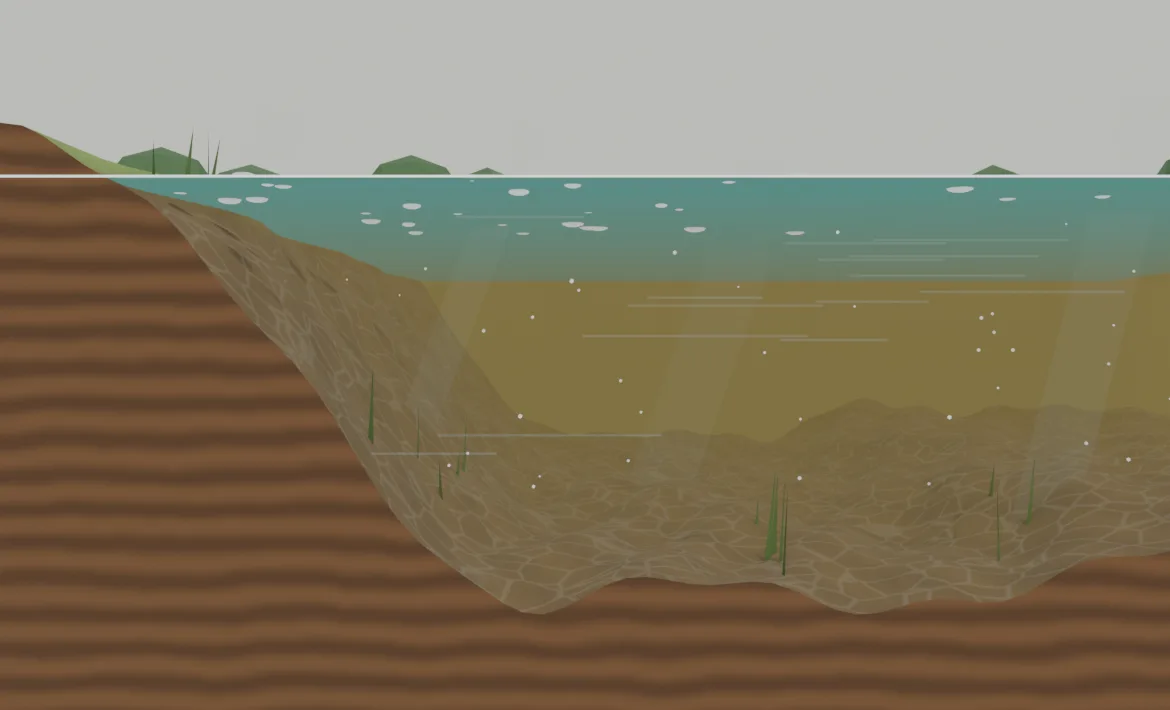 Corte de um grande rio asiático de água turva e com corrente: o panga fica no canal principal, na meia-água, onde sobe atrás de comida