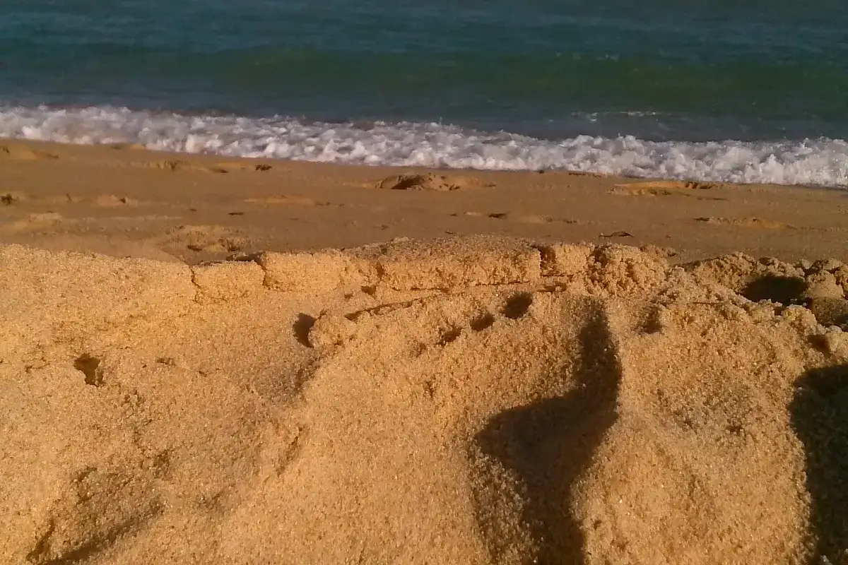 Barra do Jequiá
