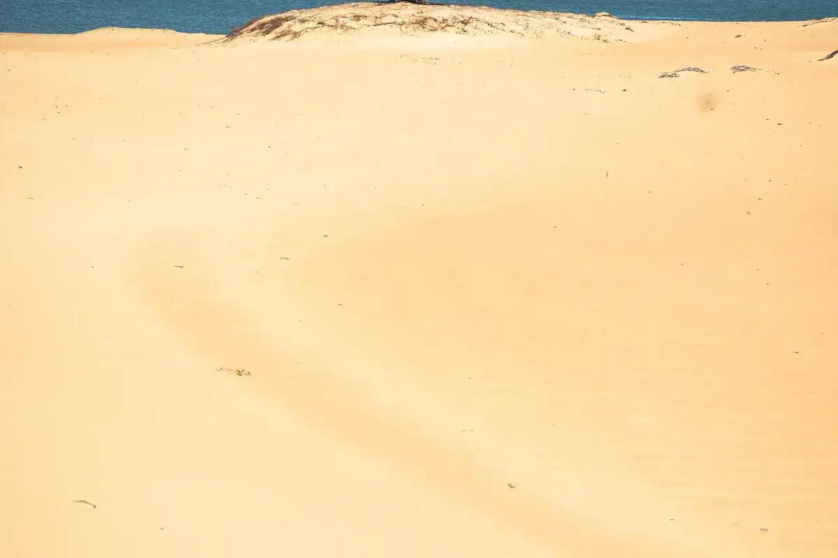 Foz do Rio São Francisco