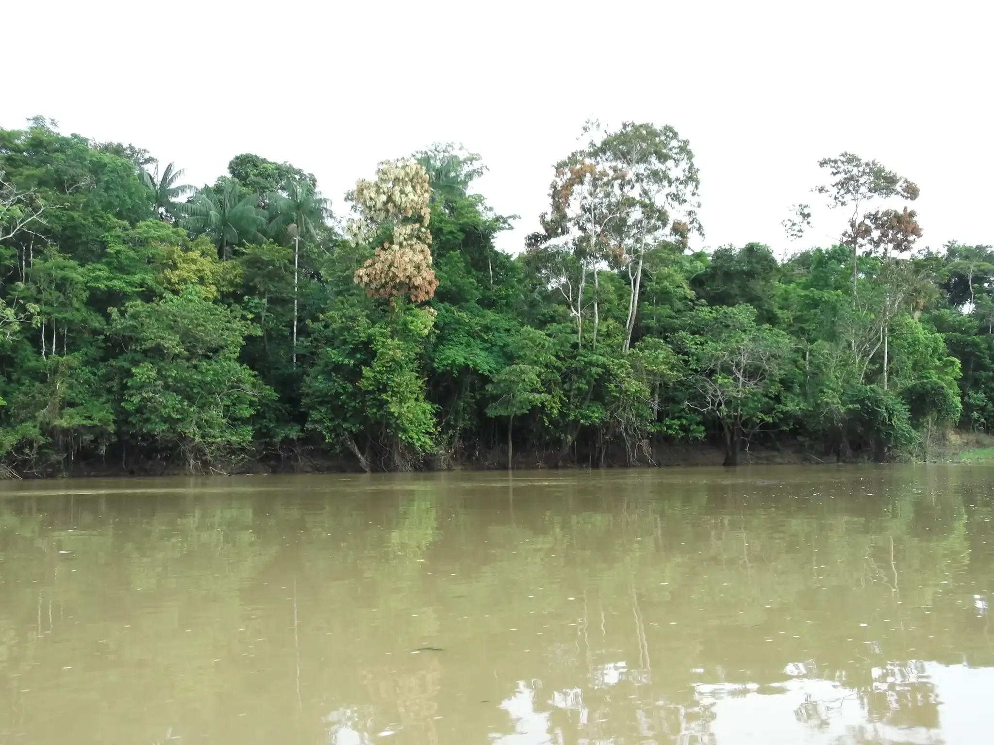 Rio Itaquaí (AM): o rio da entrada do Javari e a regra da pesca