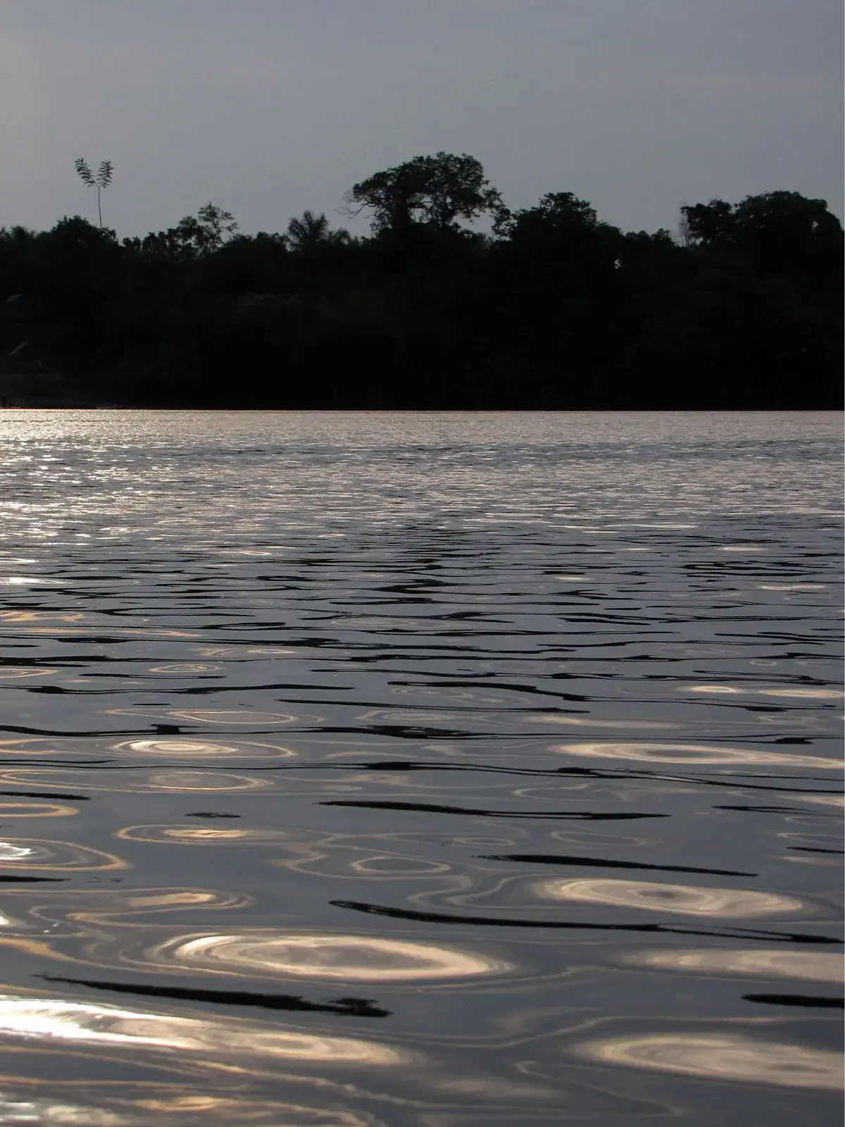 Rio Urubu (AM)