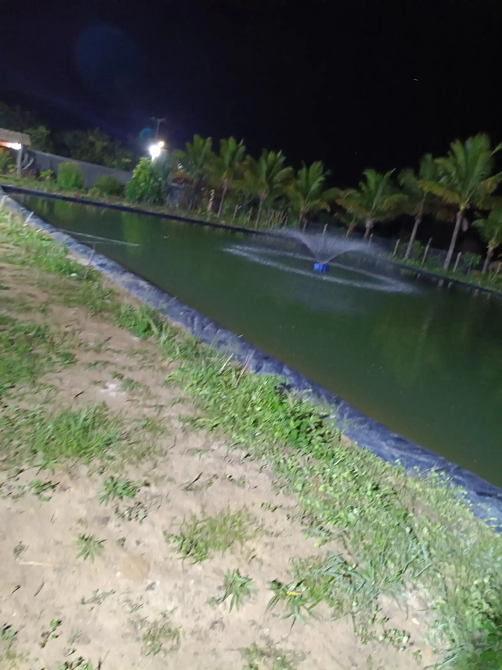 Pesque e Pague Recanto do Pescador