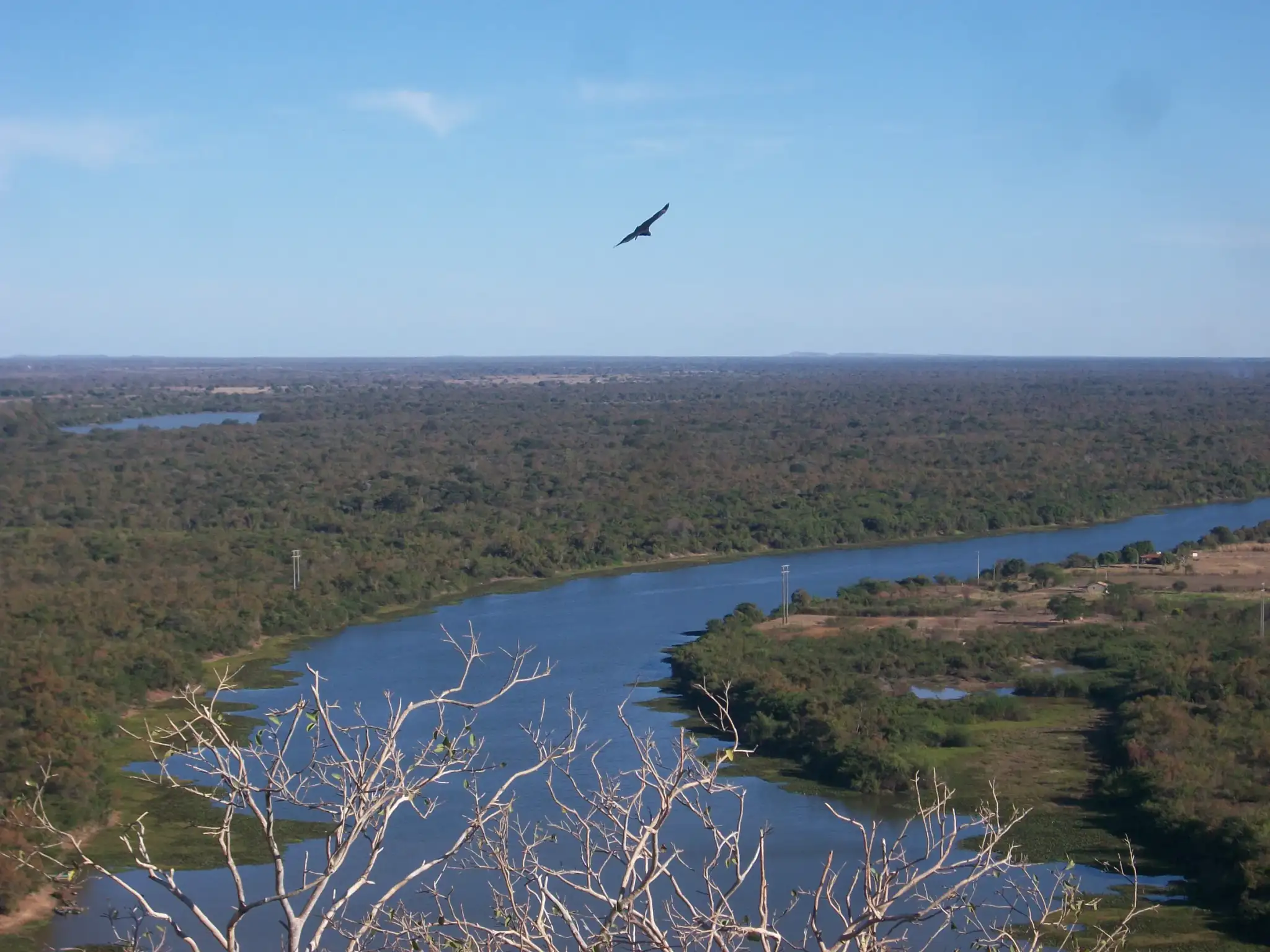 Rio das Rãs