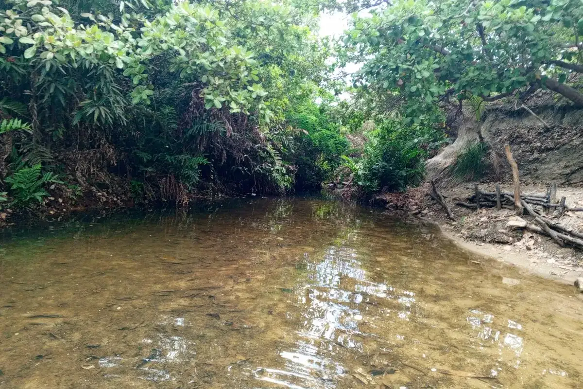 Lagoa das Almécegas (Paraipaba - CE)