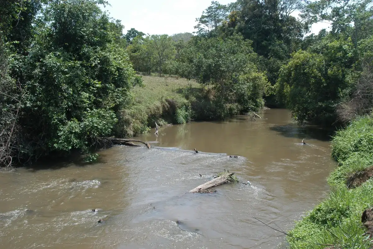 Rio São Bartolomeu