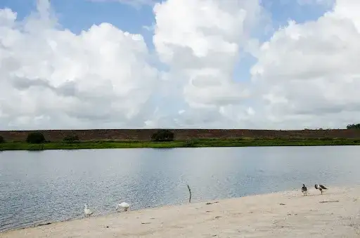 Lagoa do Aguiar