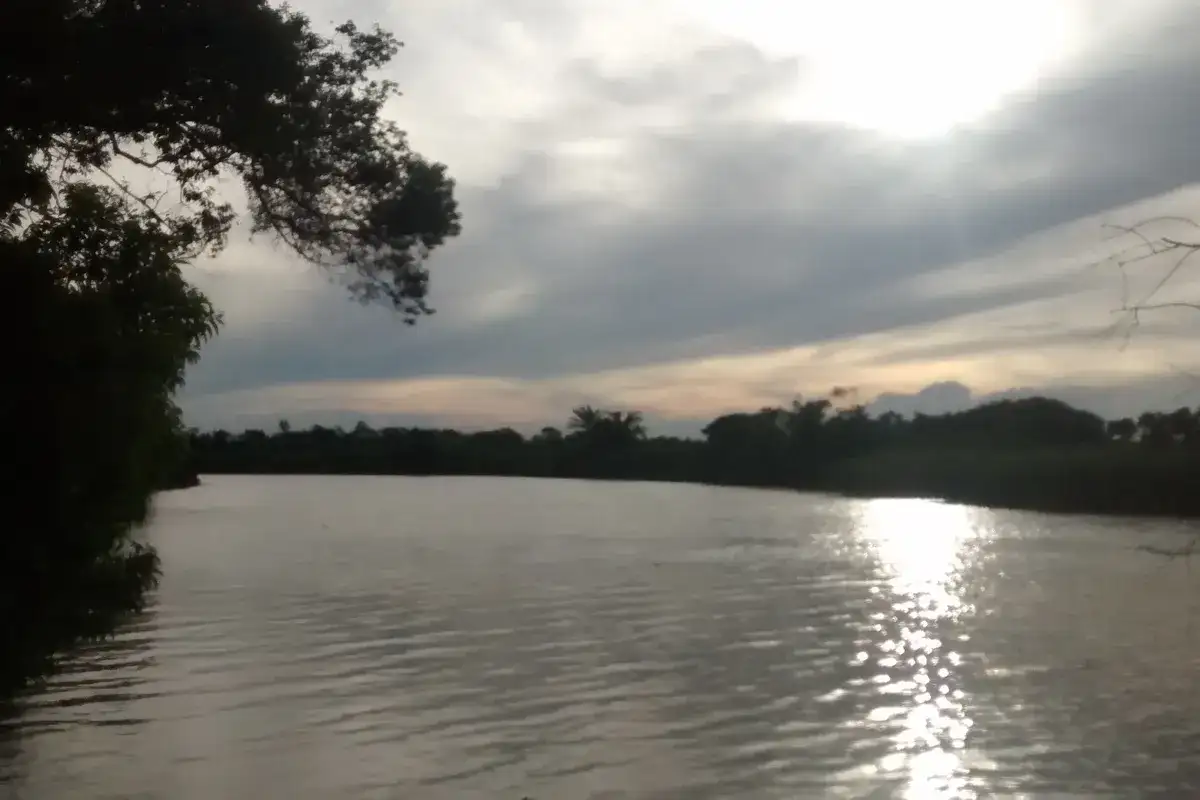 Rio Mariricu