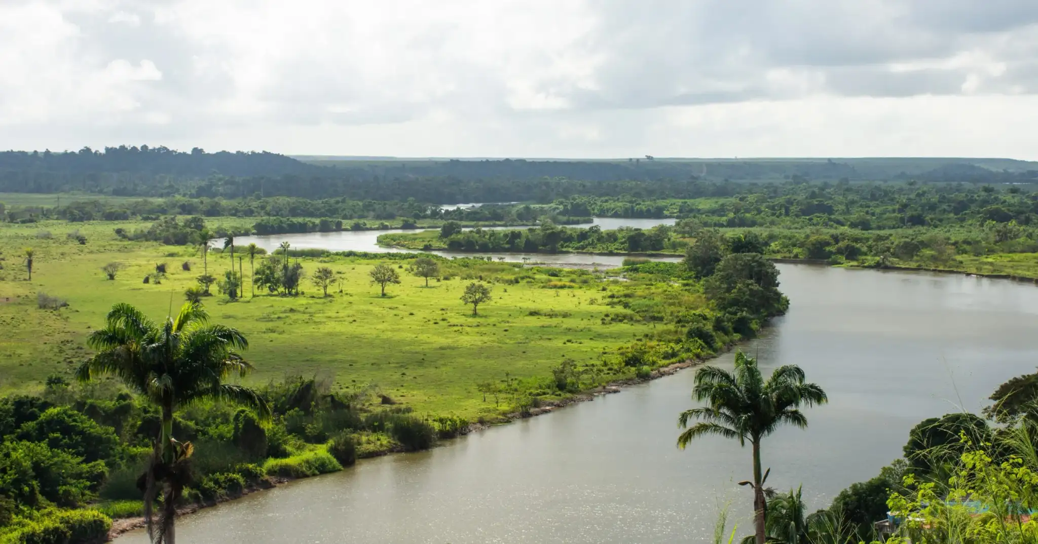 Rio São Mateus