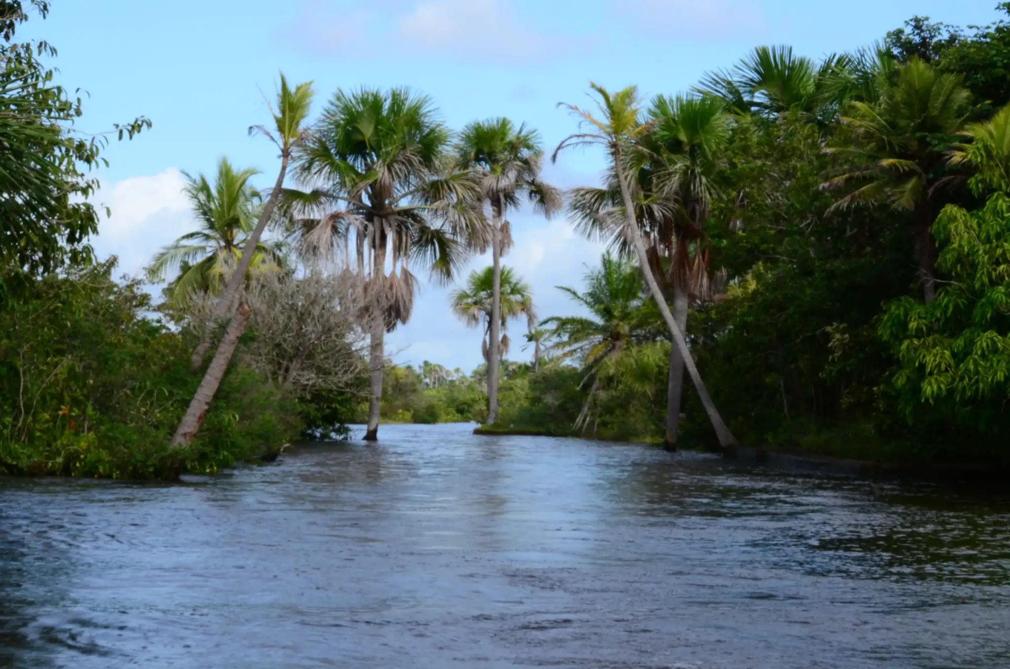 Rio Maracaçumé (Maracaçumé)