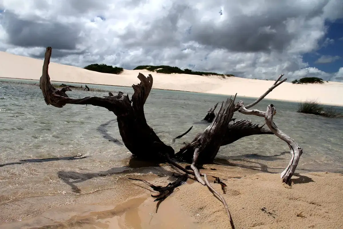 Lagoa Azul (Lençóis Maranhenses)