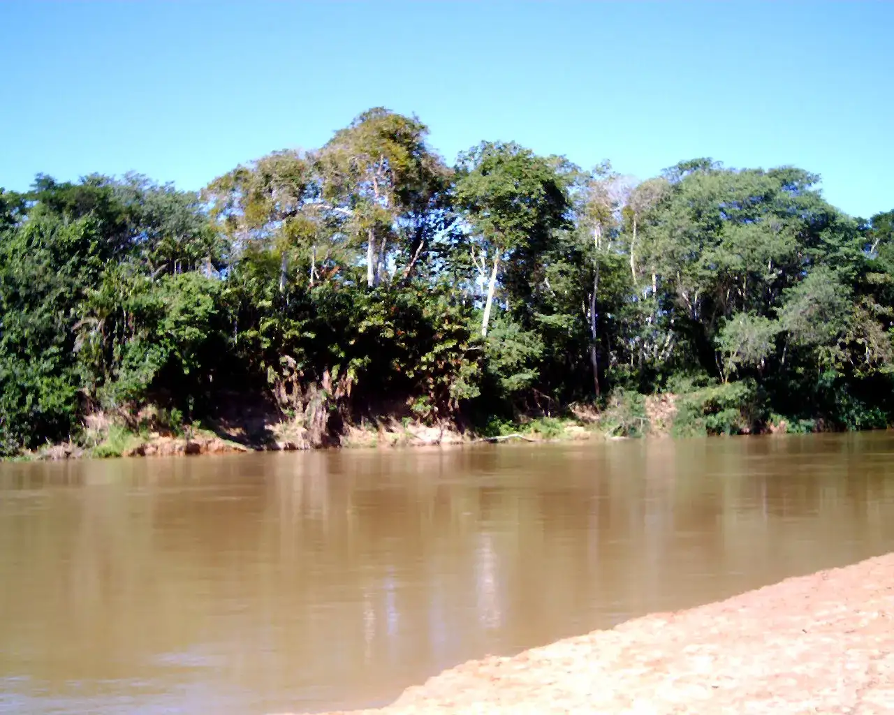 Rio Flores (Pedreiras)