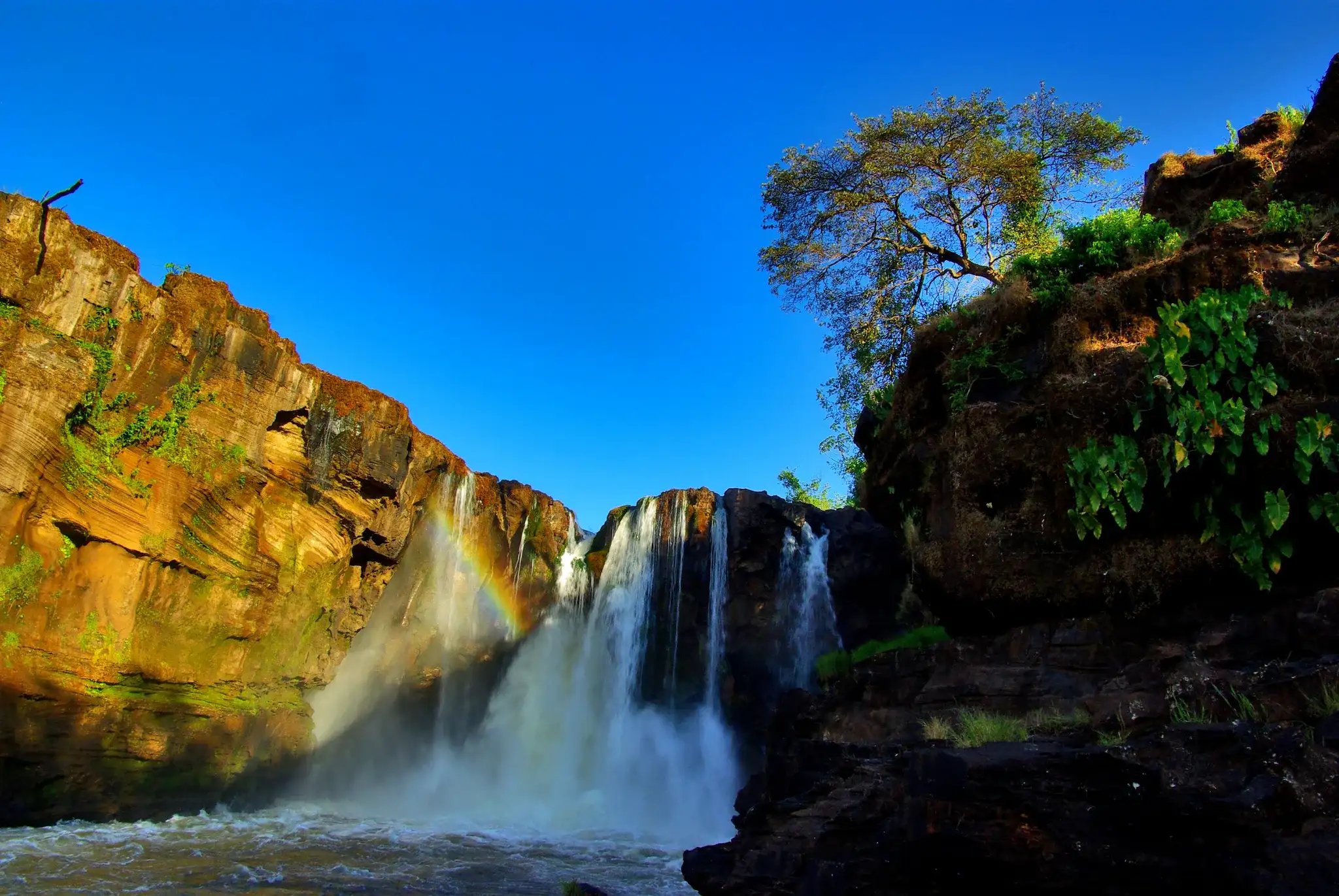Rio Farinha