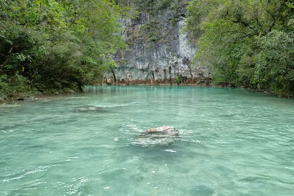 Rio Salobra