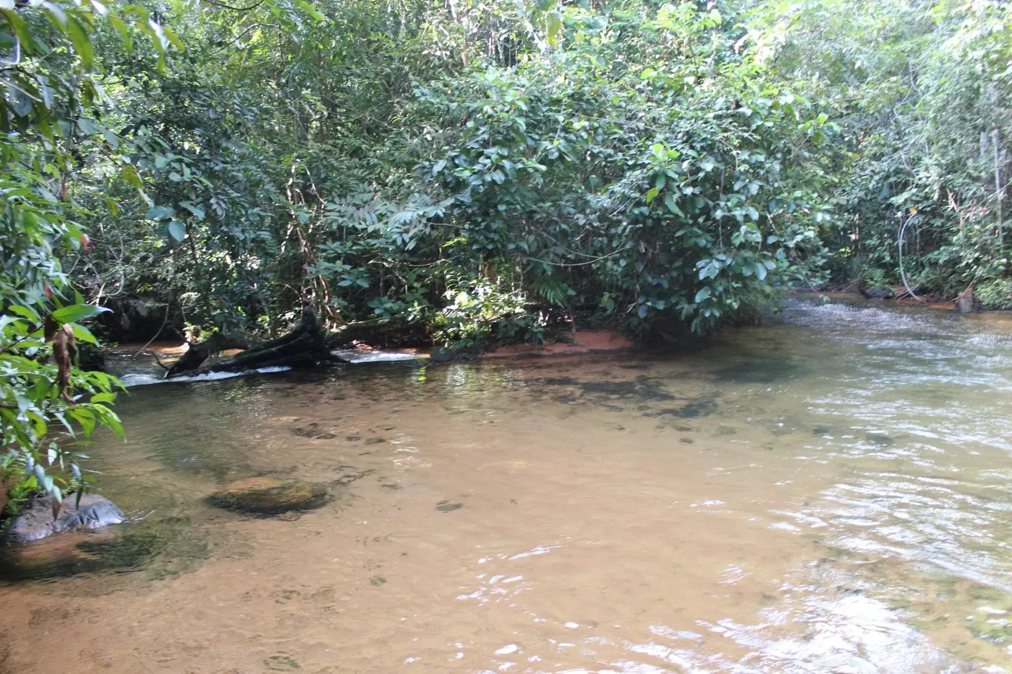 Rio Claro