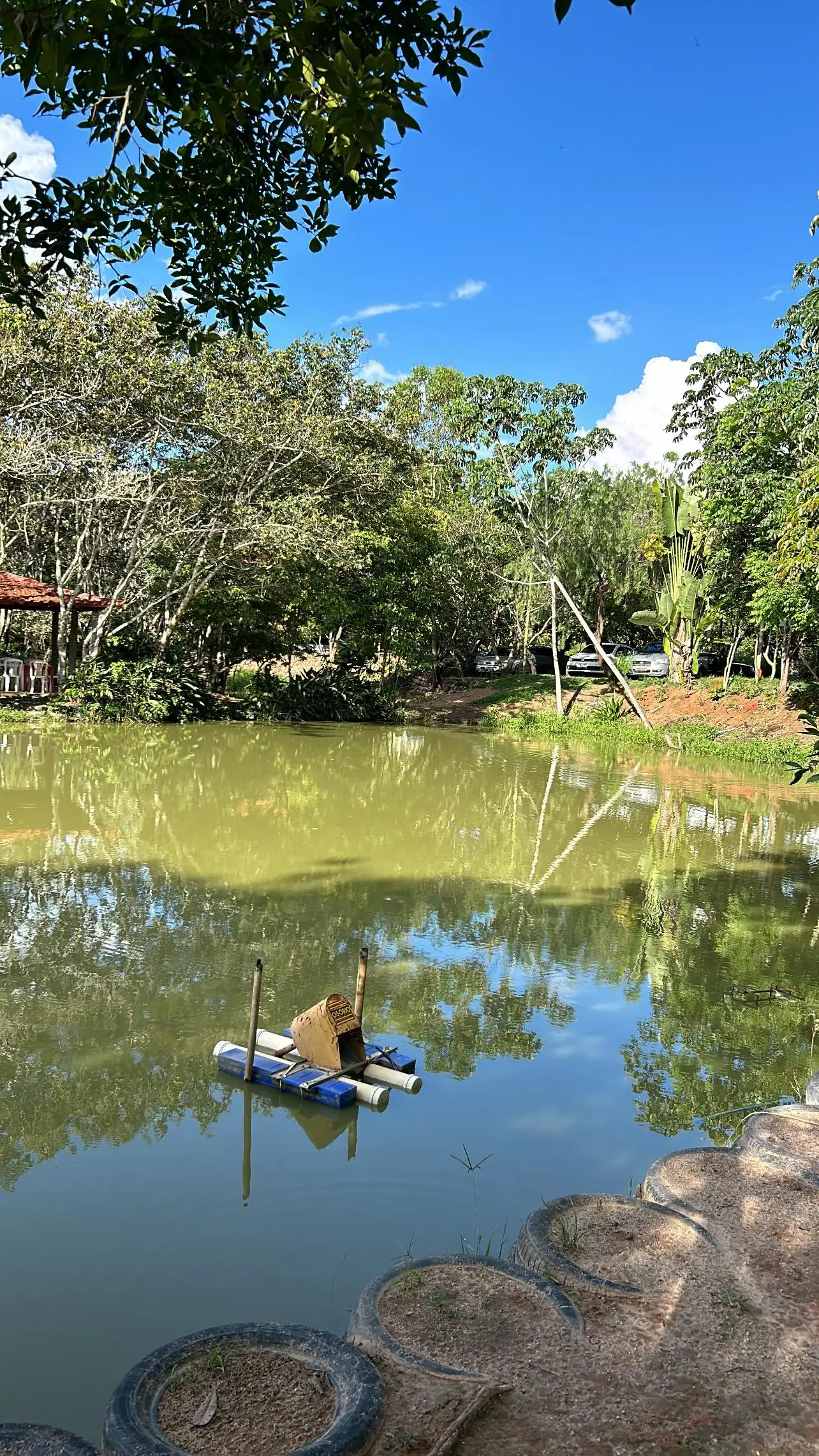 Pesque Pague da Ilha