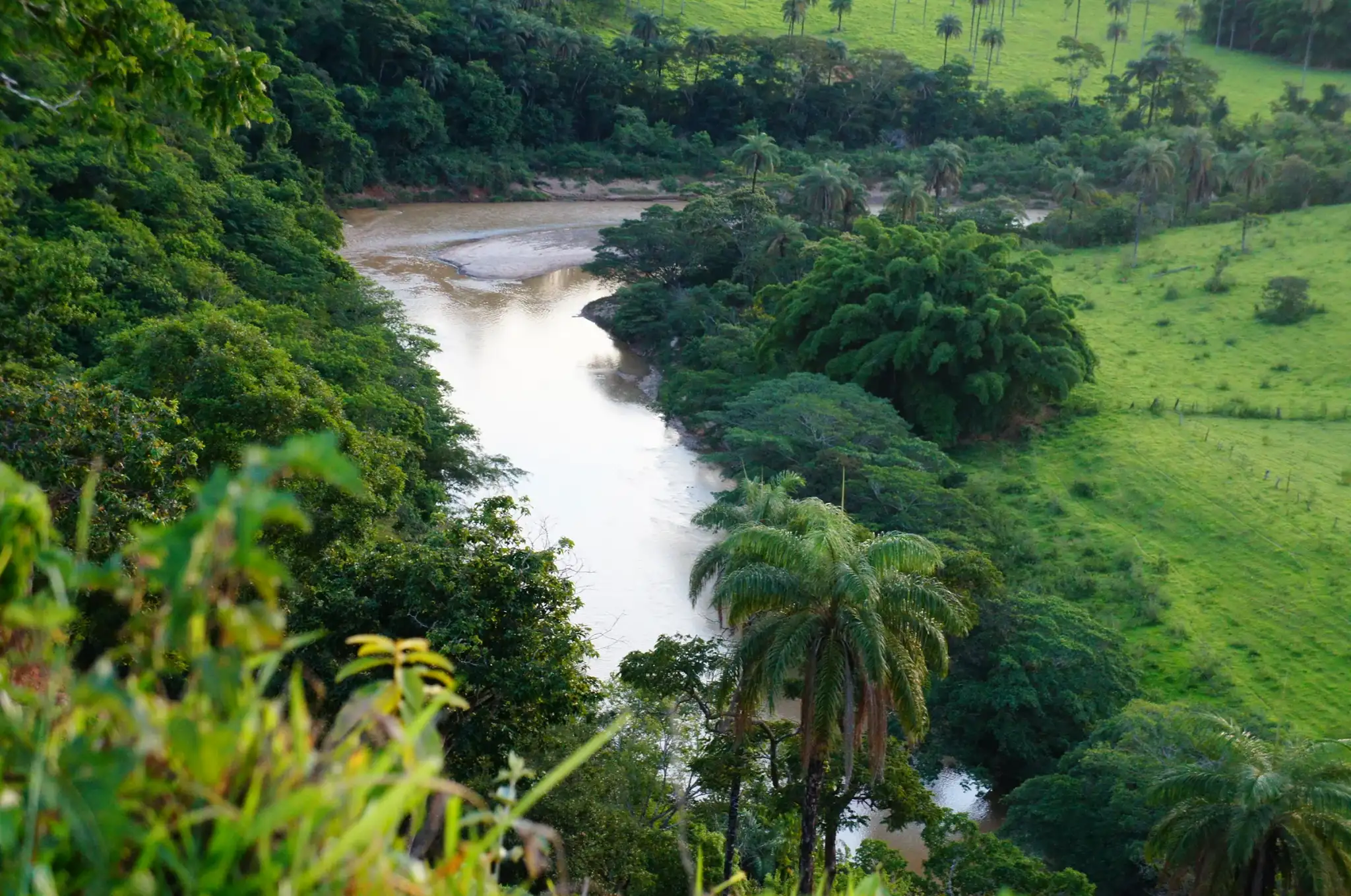 Rio Indaiá