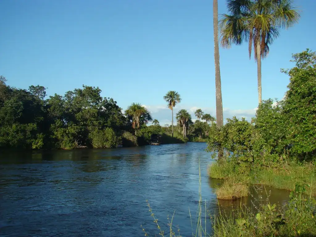 Rio Carinhanha