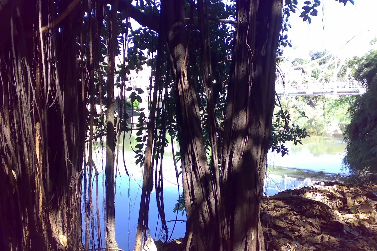 Rio Pomba em Cataguases