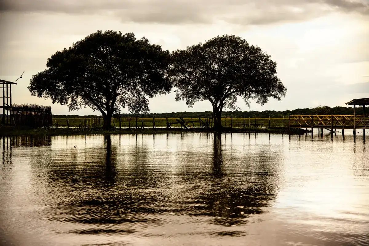 Rio Anajás (Marajó interior)
