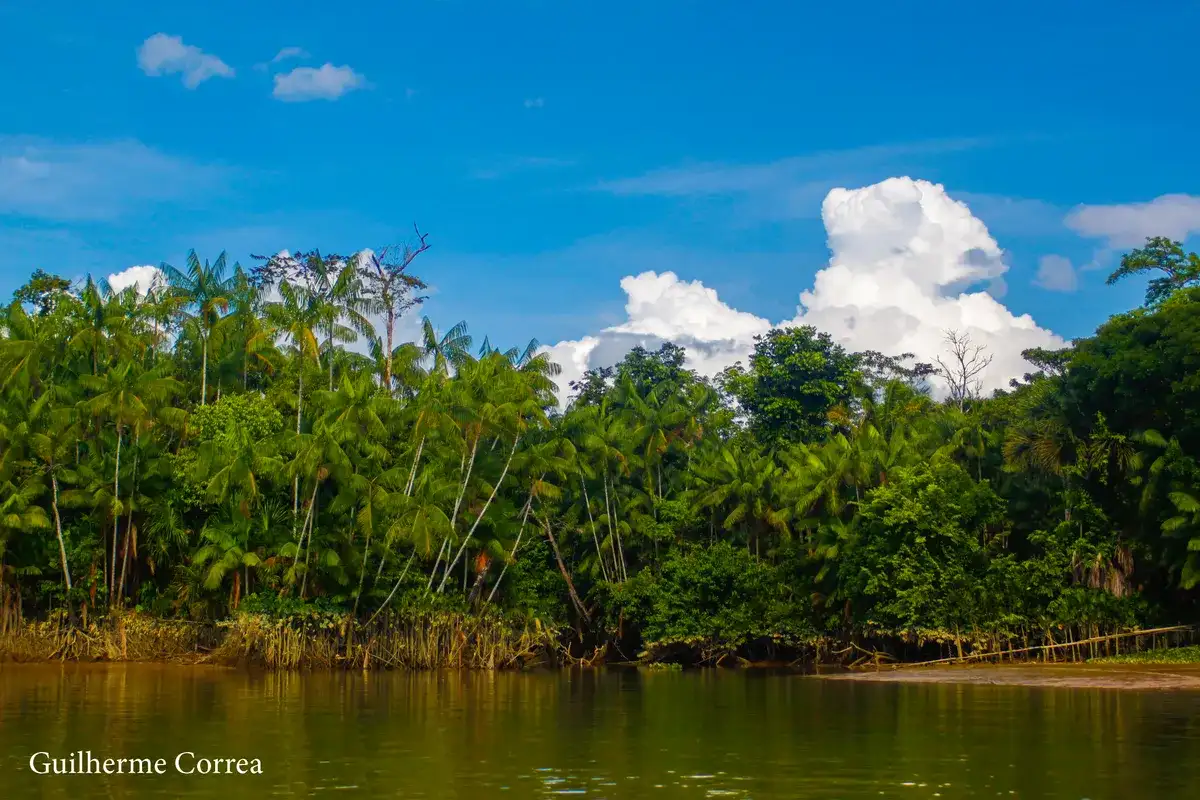 Rio Capim (PA)