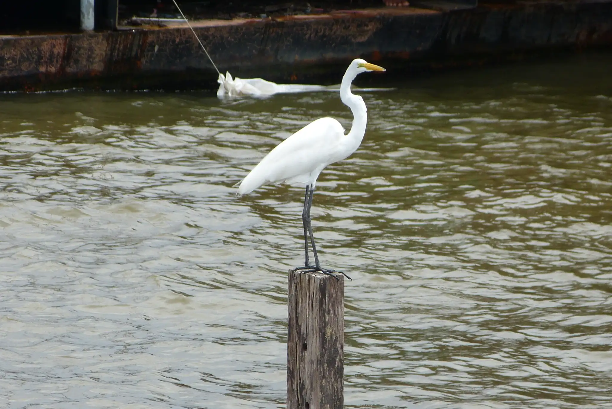 Lago do Maicá (Santarém)