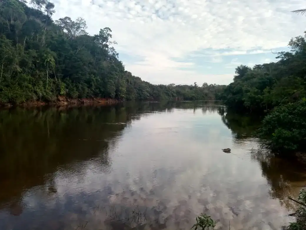Rio Curuá-Una (Santarém)