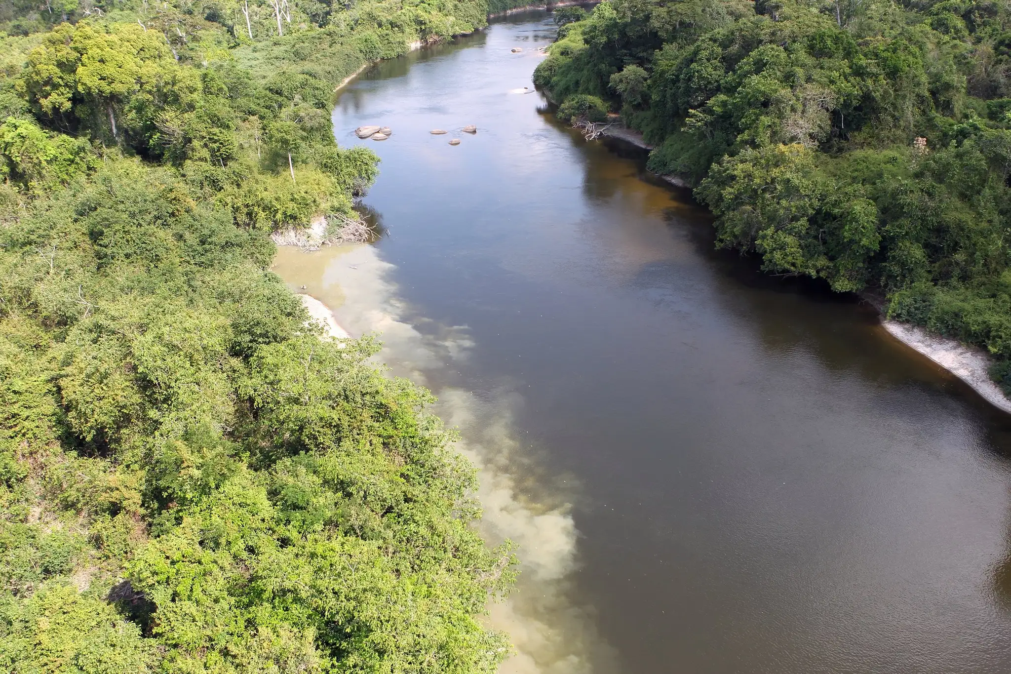 Rio Curuá (do Iriri, Altamira)