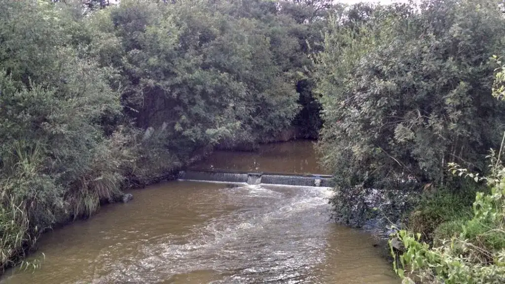 Rio Maurício