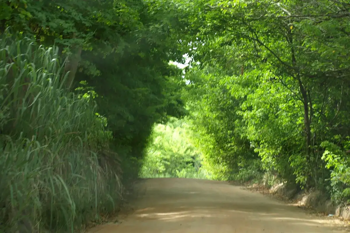 São José da Coroa Grande