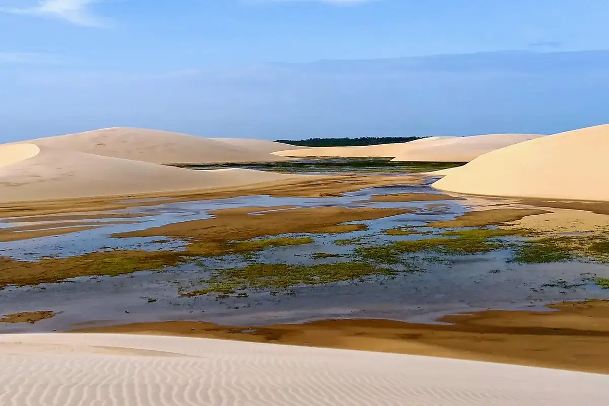 Delta do Parnaíba