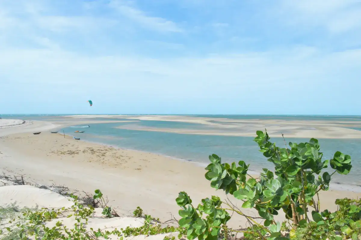 Macapá (PI)