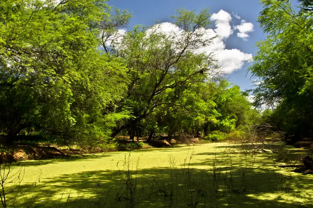 Rio Piauí