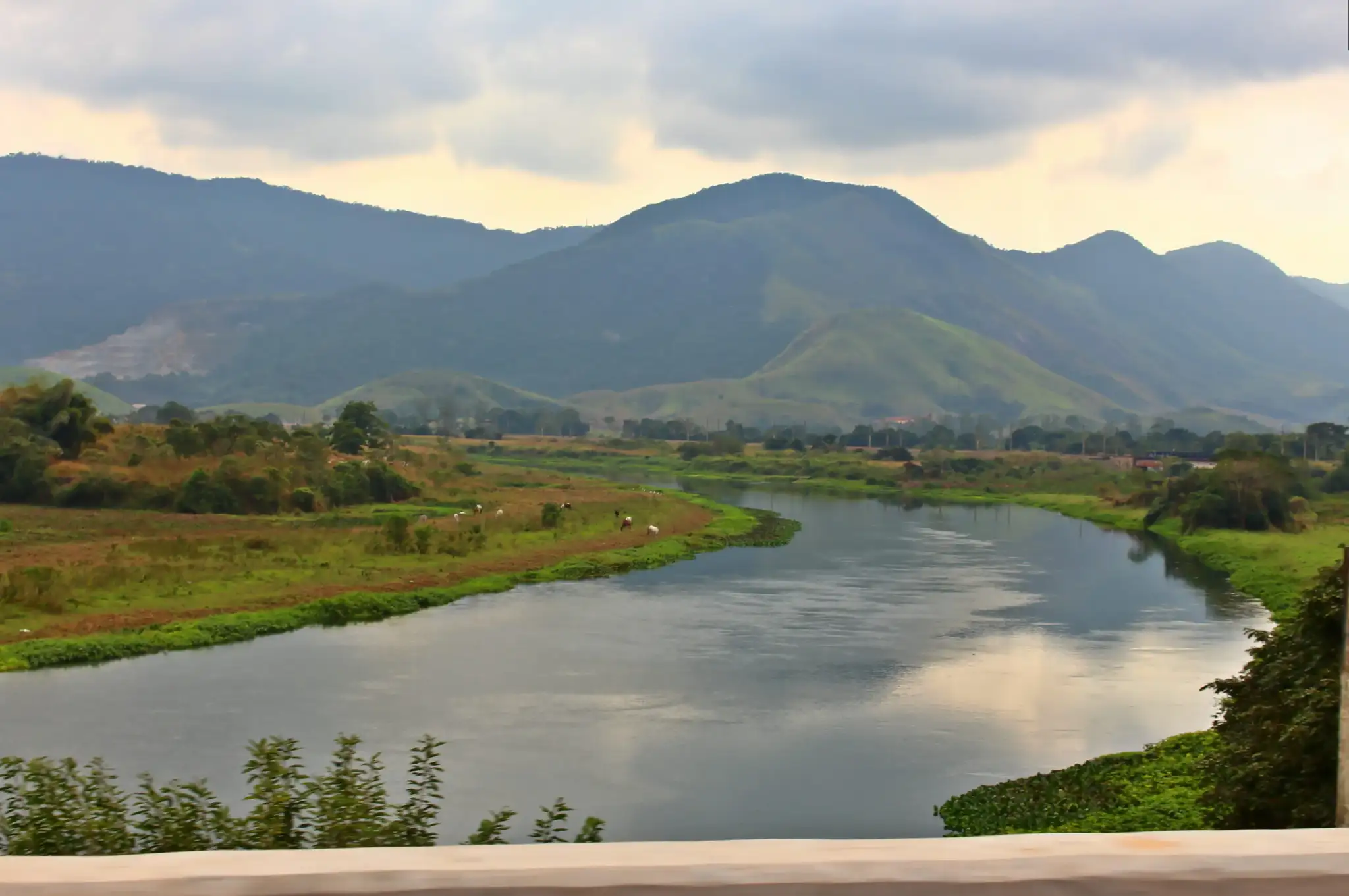 Rio Guandu
