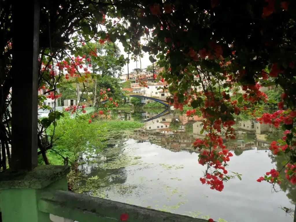 Rio Piraí