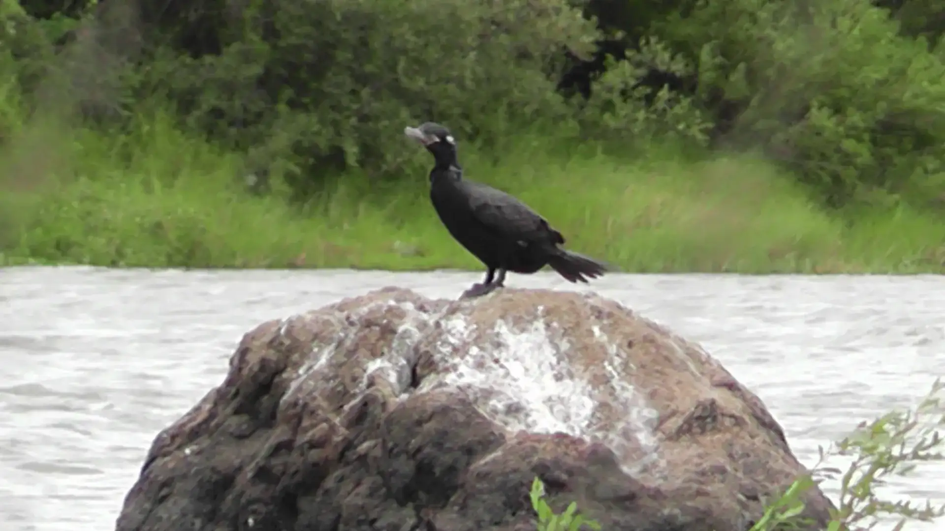 Rio Jaguarão