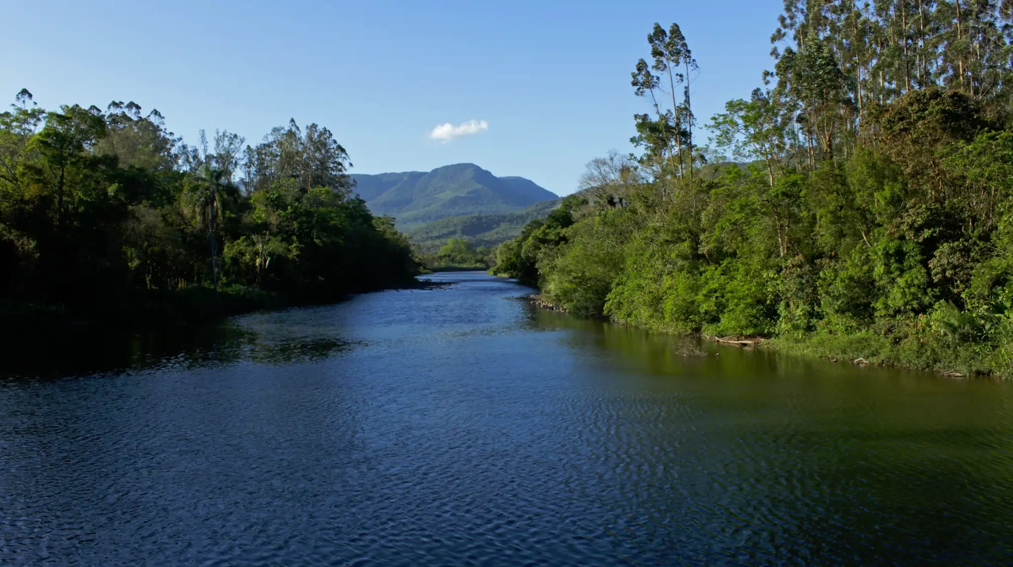 Lagoa das Malvas