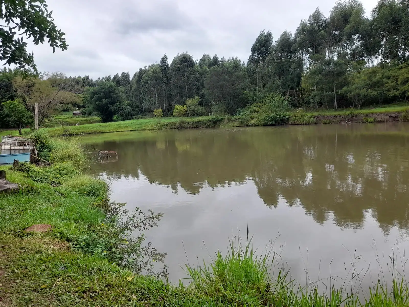 Pesque Pague Campo Grande