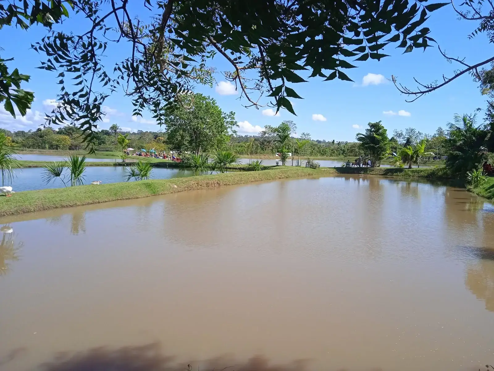 Pesque e Pague Pantanal