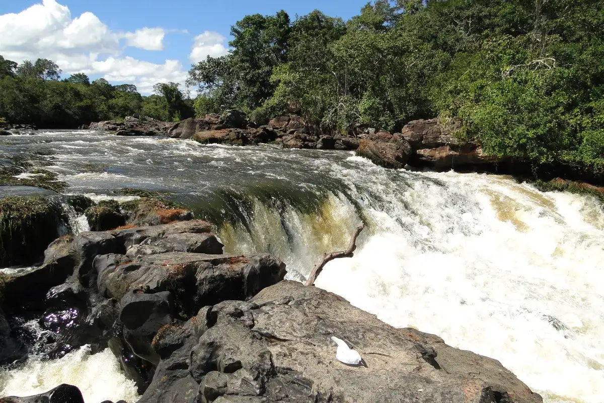 Rio Cautário (Costa Marques)