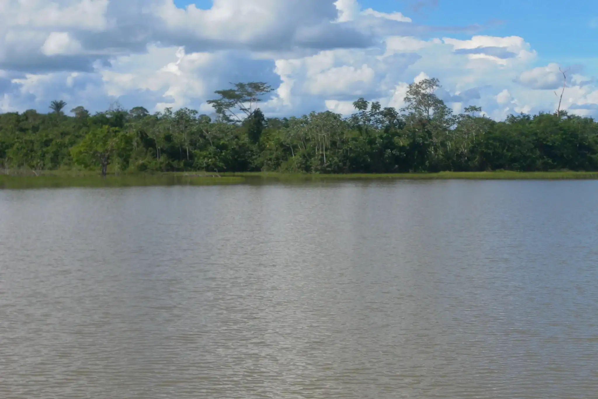 Rio Roosevelt Espigão d'Oeste