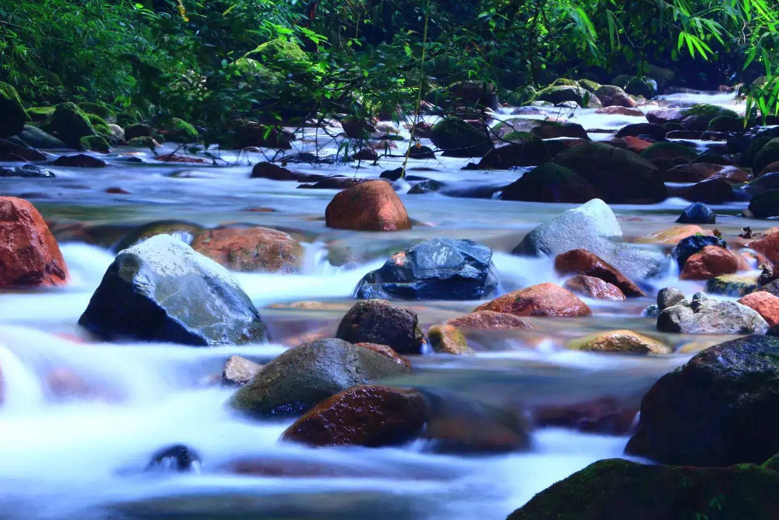 Rio Piraí (Joinville)