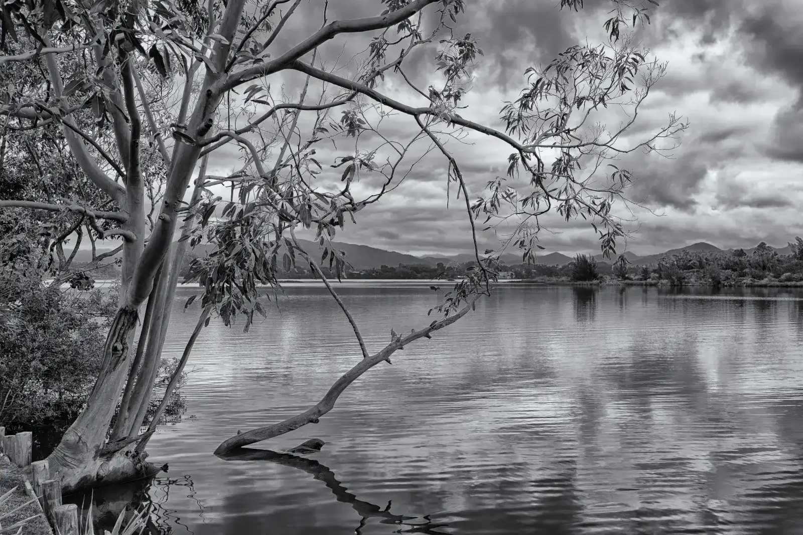 Lagoa/Barra de Ibiraquera