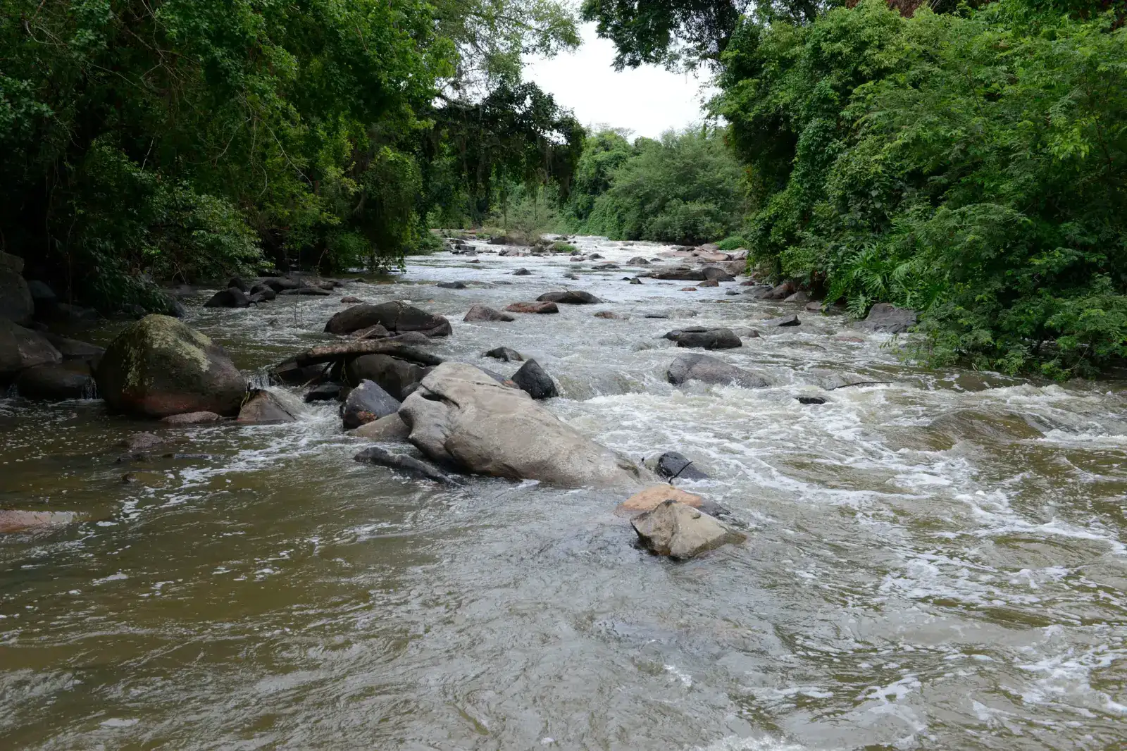 Rio Jundiaí