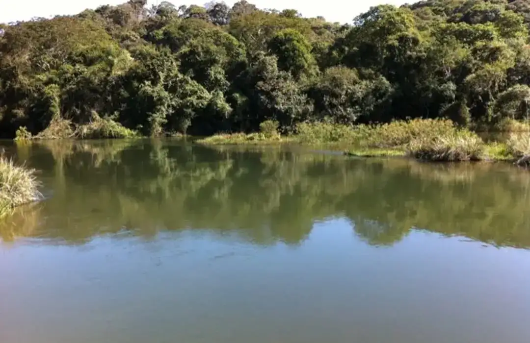 Rio Juqueri