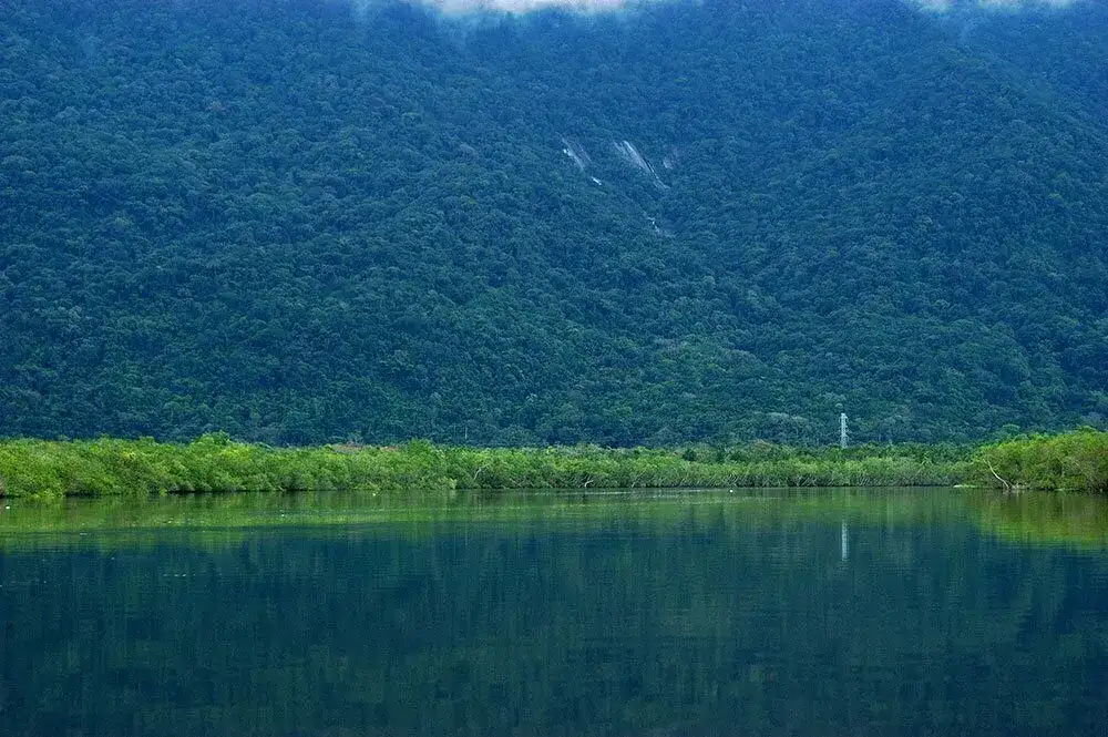 Rio Itapanhaú
