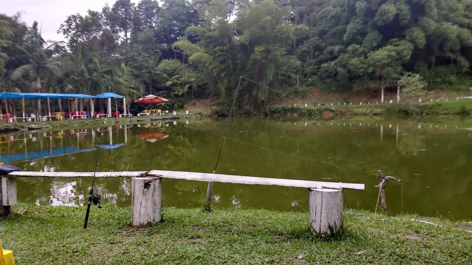 Pesqueiro do Sebo: pesca raiz de tamba e pacu em Registro