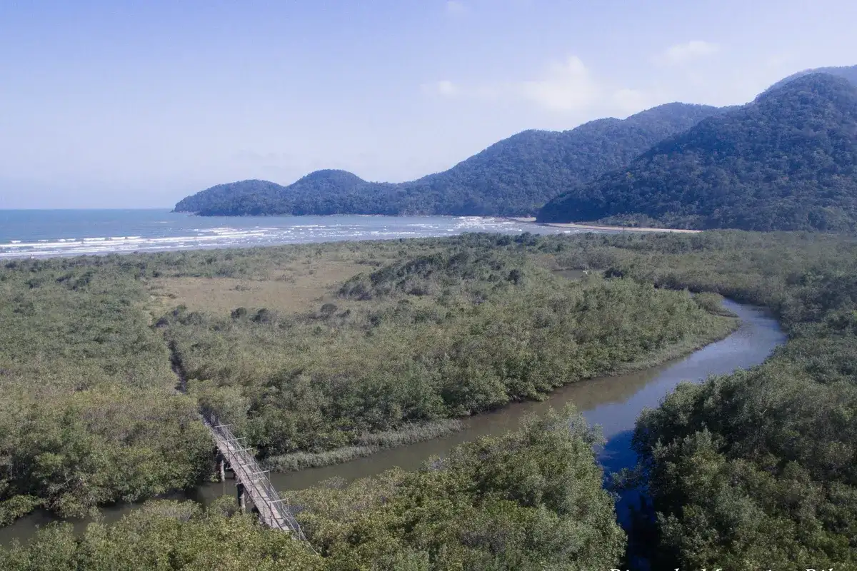 Rio Guaraú